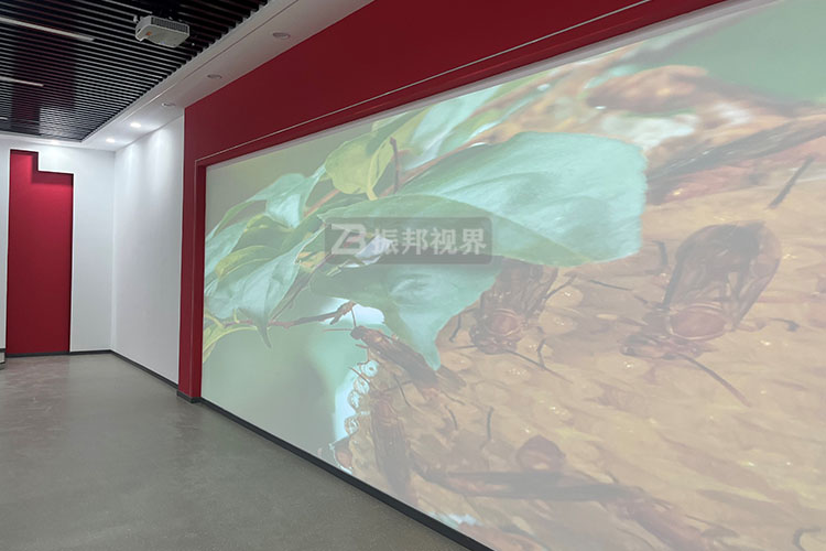 雷達互動投影系統